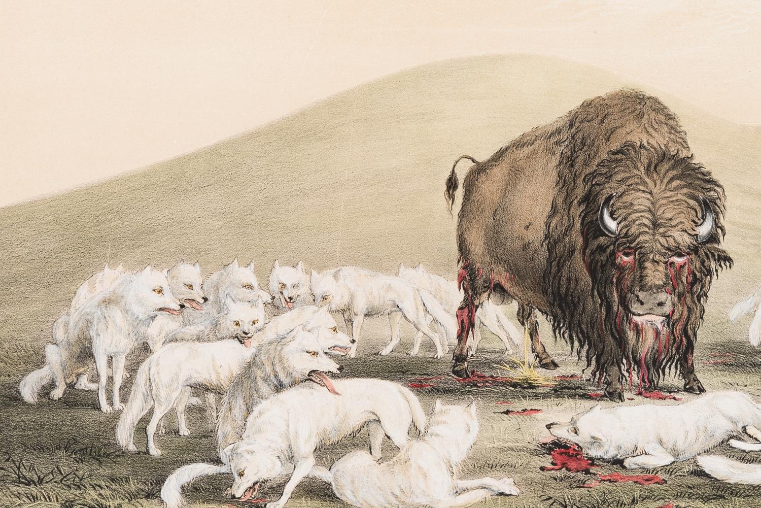 George Catlin (American, 1796-1872)