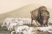 George Catlin (American, 1796-1872)