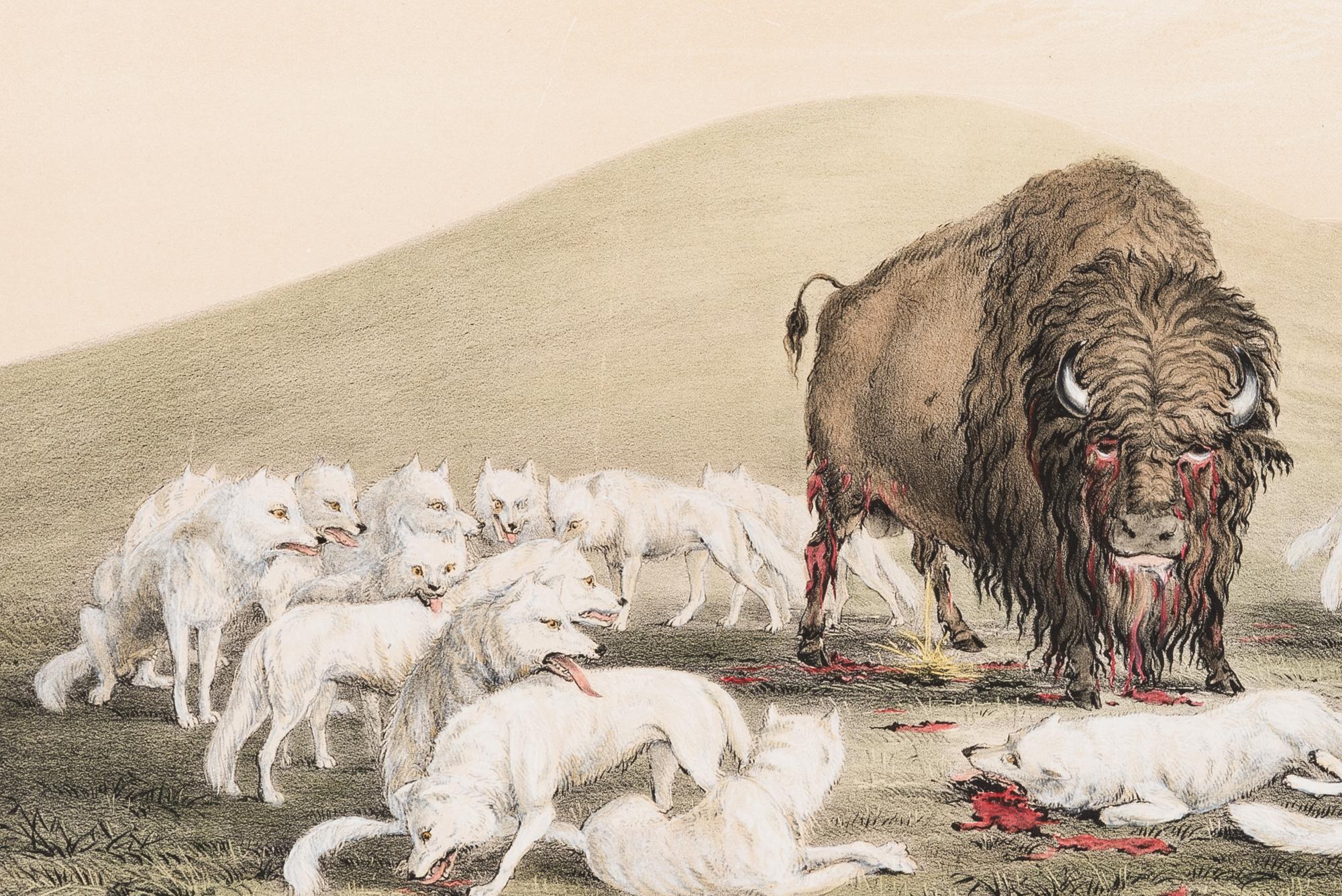 George Catlin (American, 1796-1872)