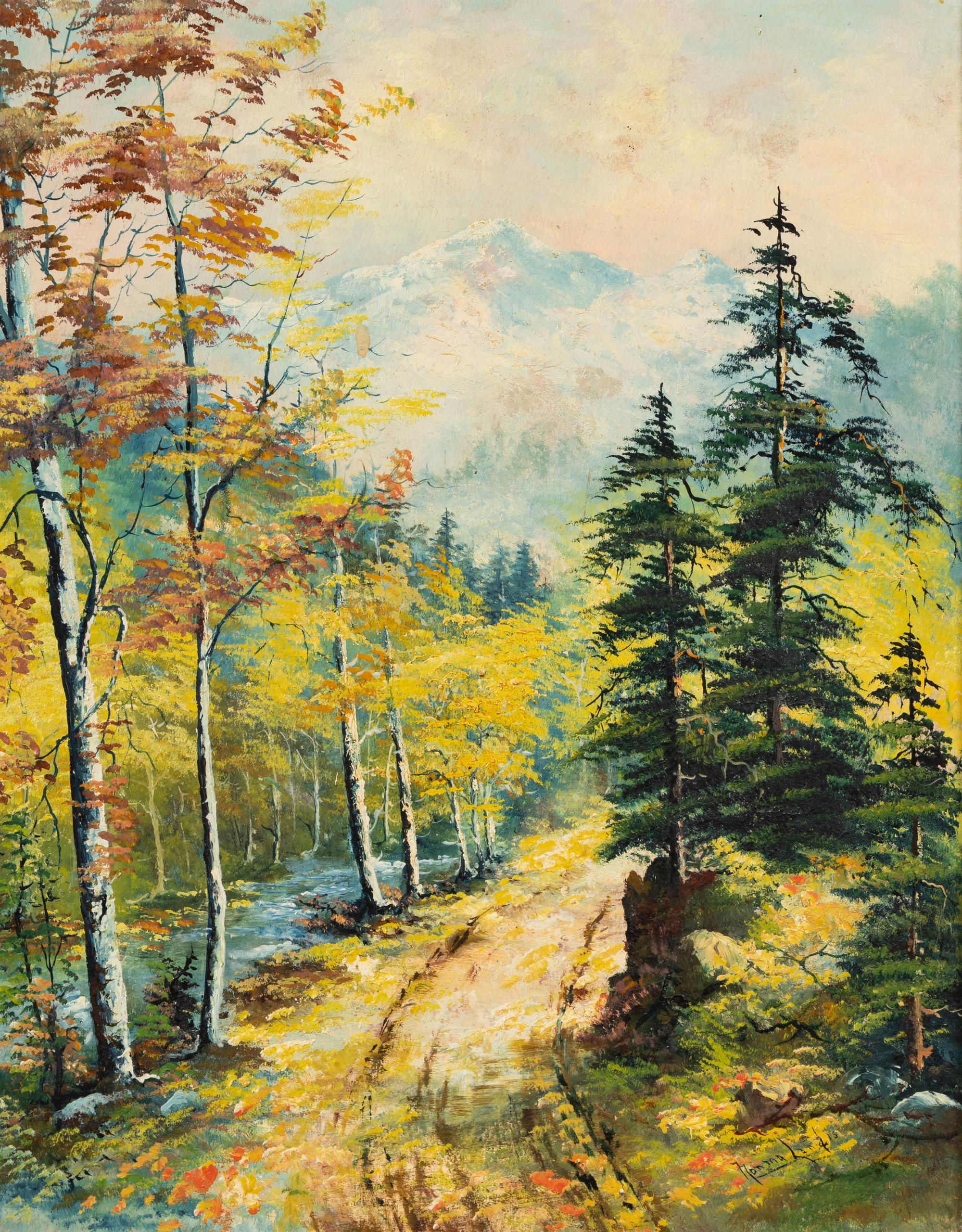 Pine and Aspen Forest