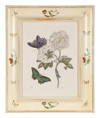 Three Butterfly and Botanical Prints — 20TH CENTURY