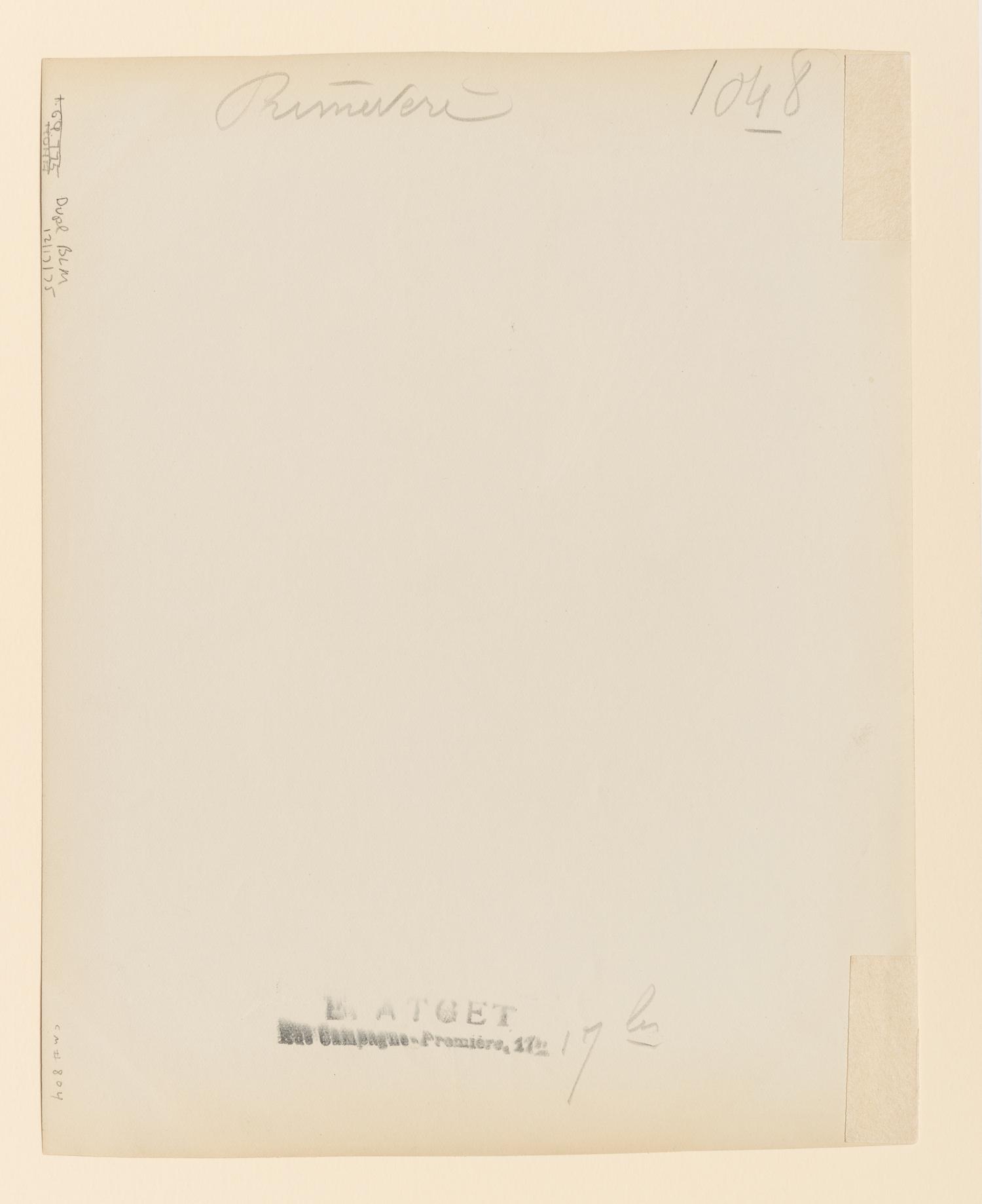 Primevère