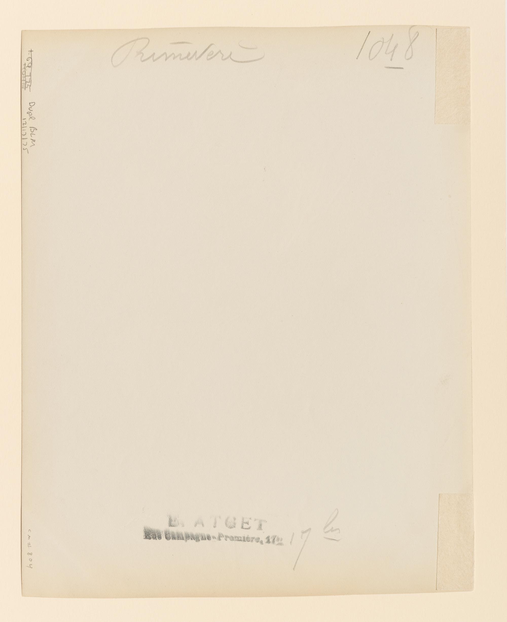 Primevère