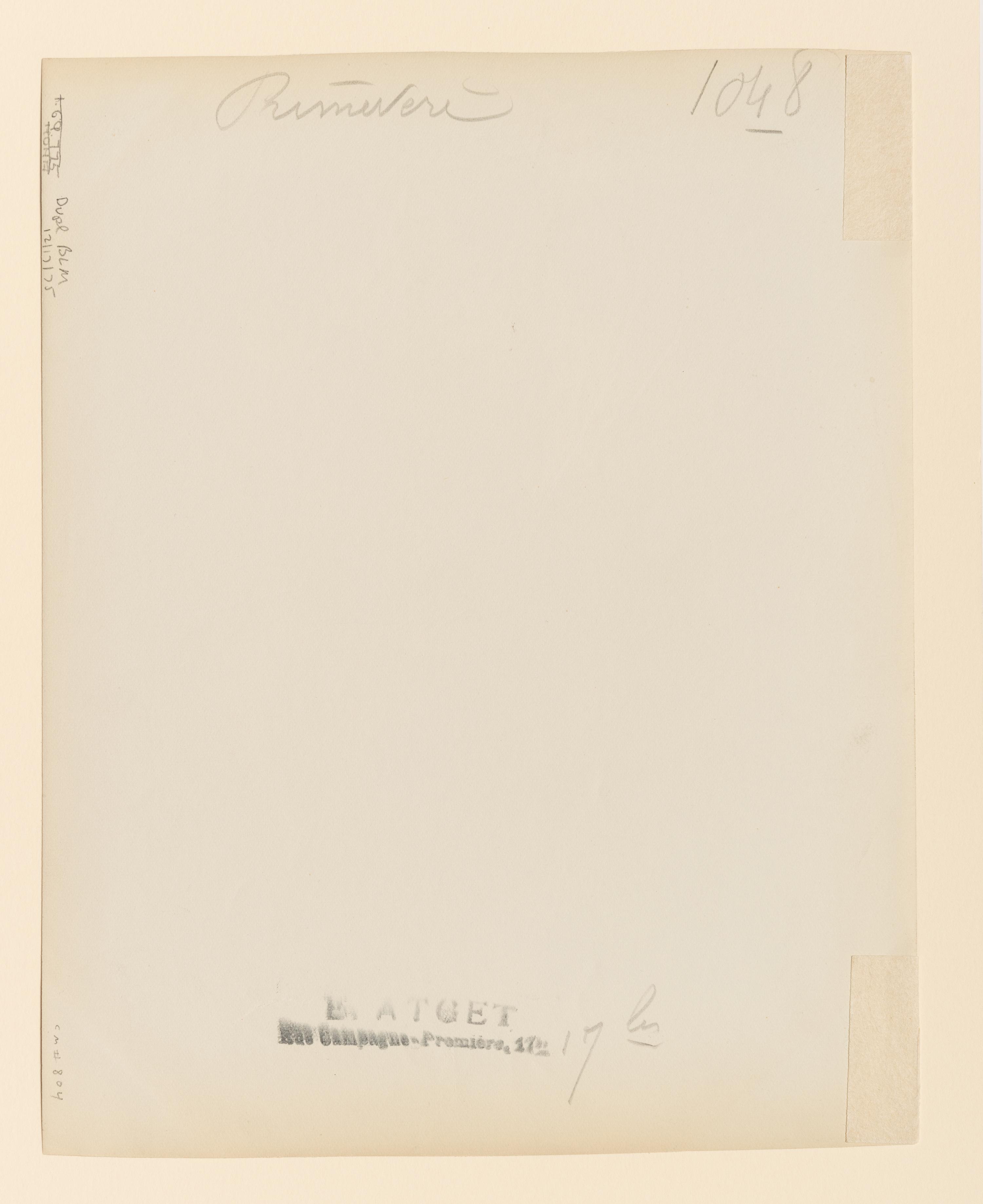 Primevère