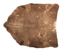 Northern Plains Painted Buffalo Hide Robe
