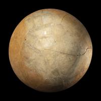 A Maya Polychrome Bowl