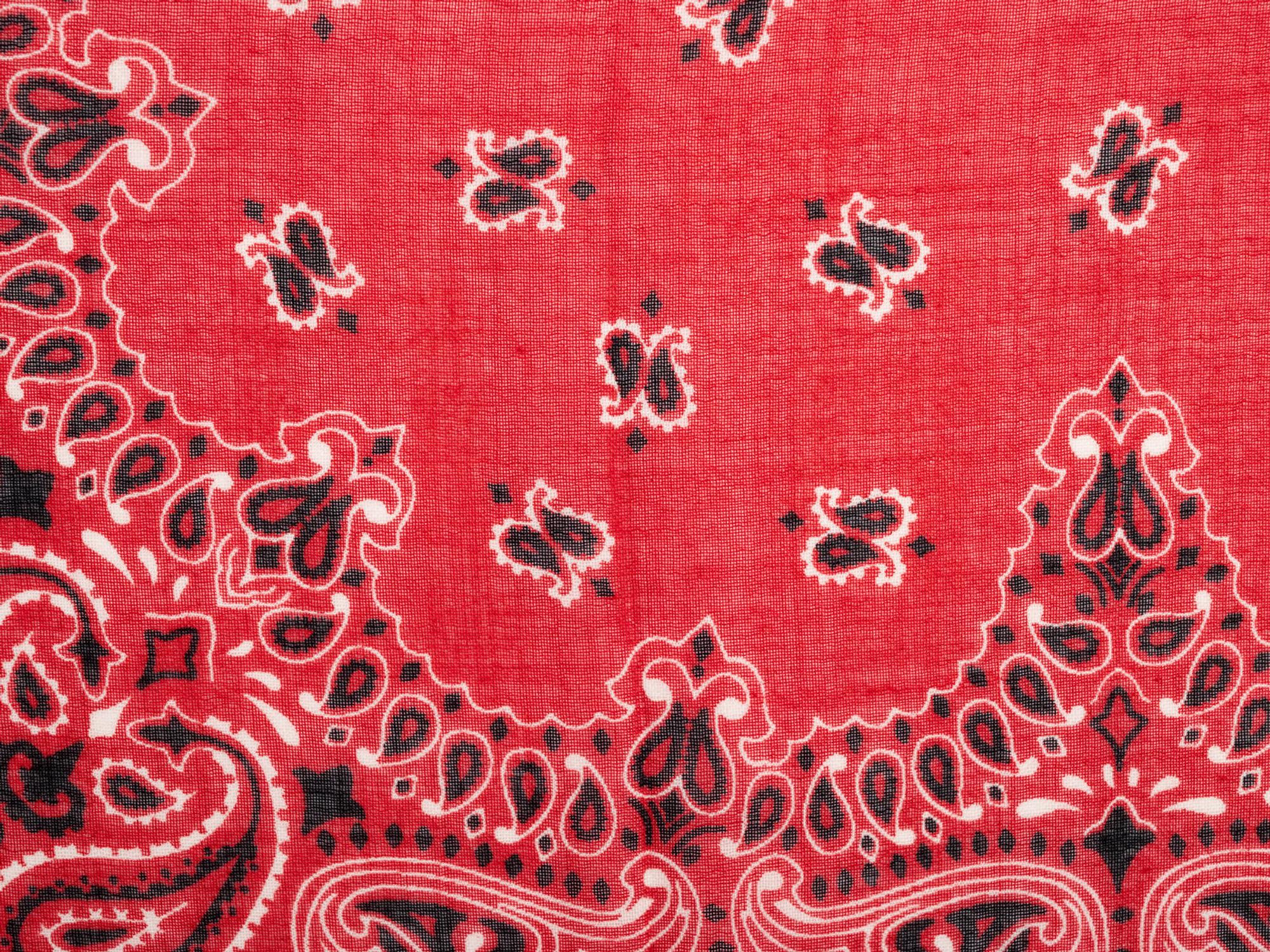 Three Designer Scarves: One Gucci, One Saint Laurent, One Agnona
