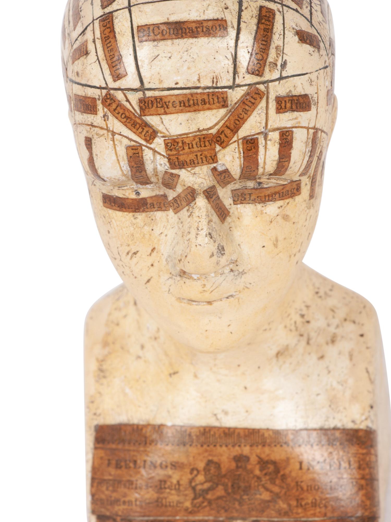 A Chalkware Phrenology Head