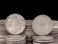 A Large Collection of Morgan $1 Coins