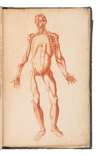 [SCIENCE & MEDICINE -MANUSCRIPT]. [After TORTEBAT, Francois (c 1616-1690), illustrator. -- PILES, Roger de (1635-1709)]. "Abrege d'Anatomie Accommode aux Arts de Peinture et de Sculpture. " [France, ca 17th- early 18th century].
