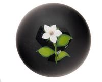 A Paul Stankard White Flower on Opaque Ground Glass Paperweight