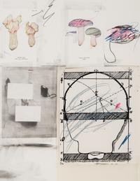 No. 2 (from Natural History, Part I, Mushrooms ), 1974