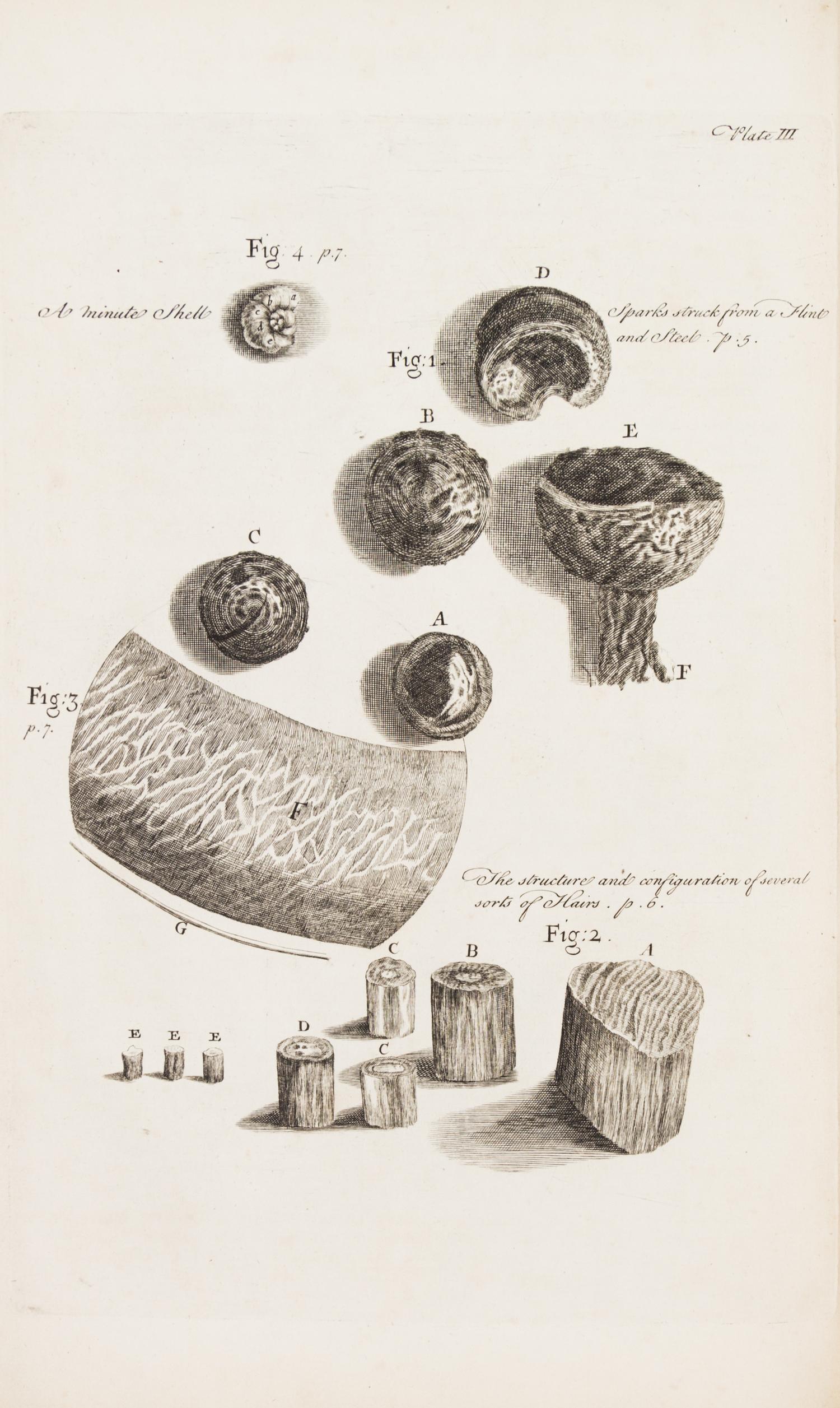 HOOKE, ROBERT. Micrographia Restaurata... London, 1745. Second edition, complete.
