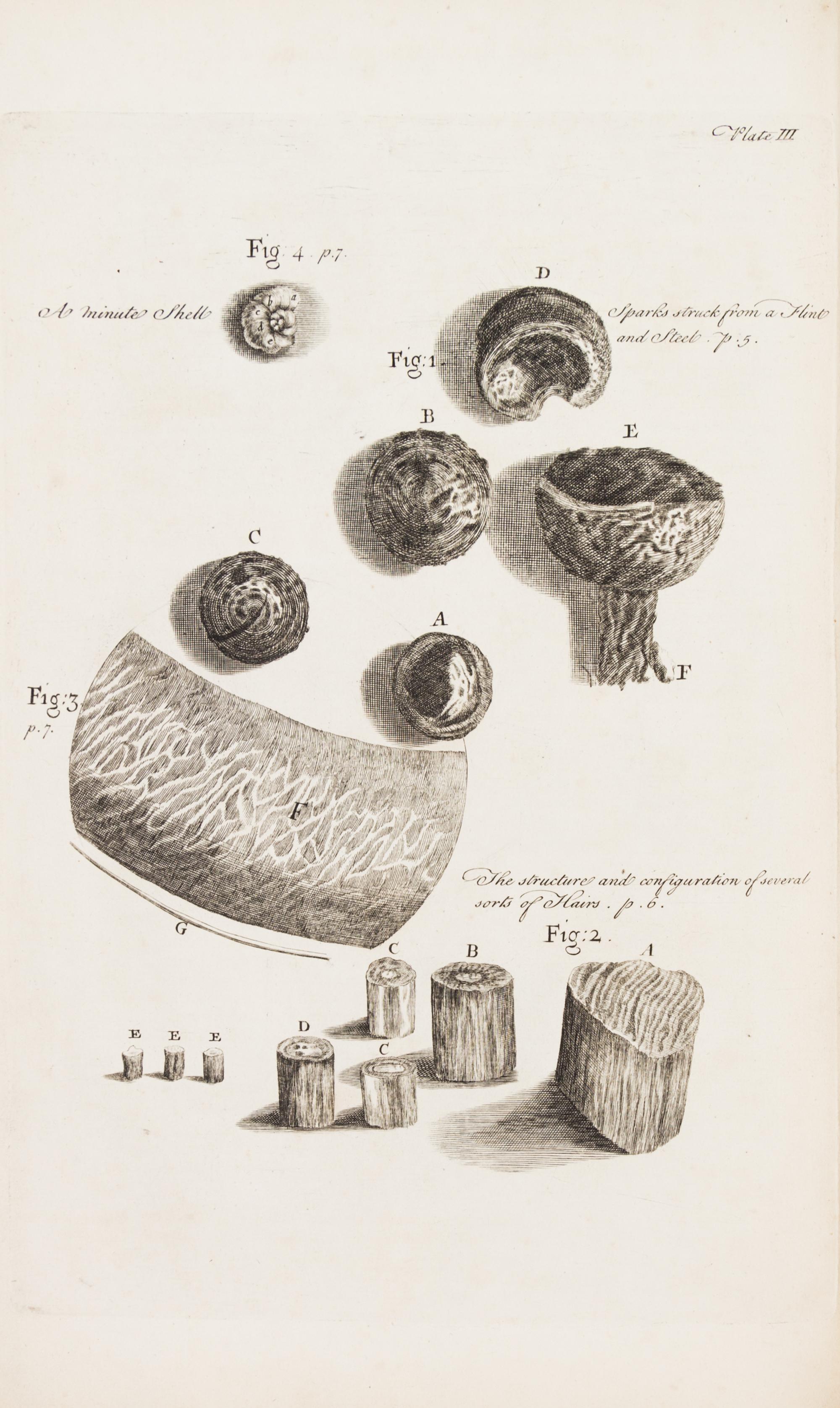 HOOKE, ROBERT. Micrographia Restaurata... London, 1745. Second edition, complete.