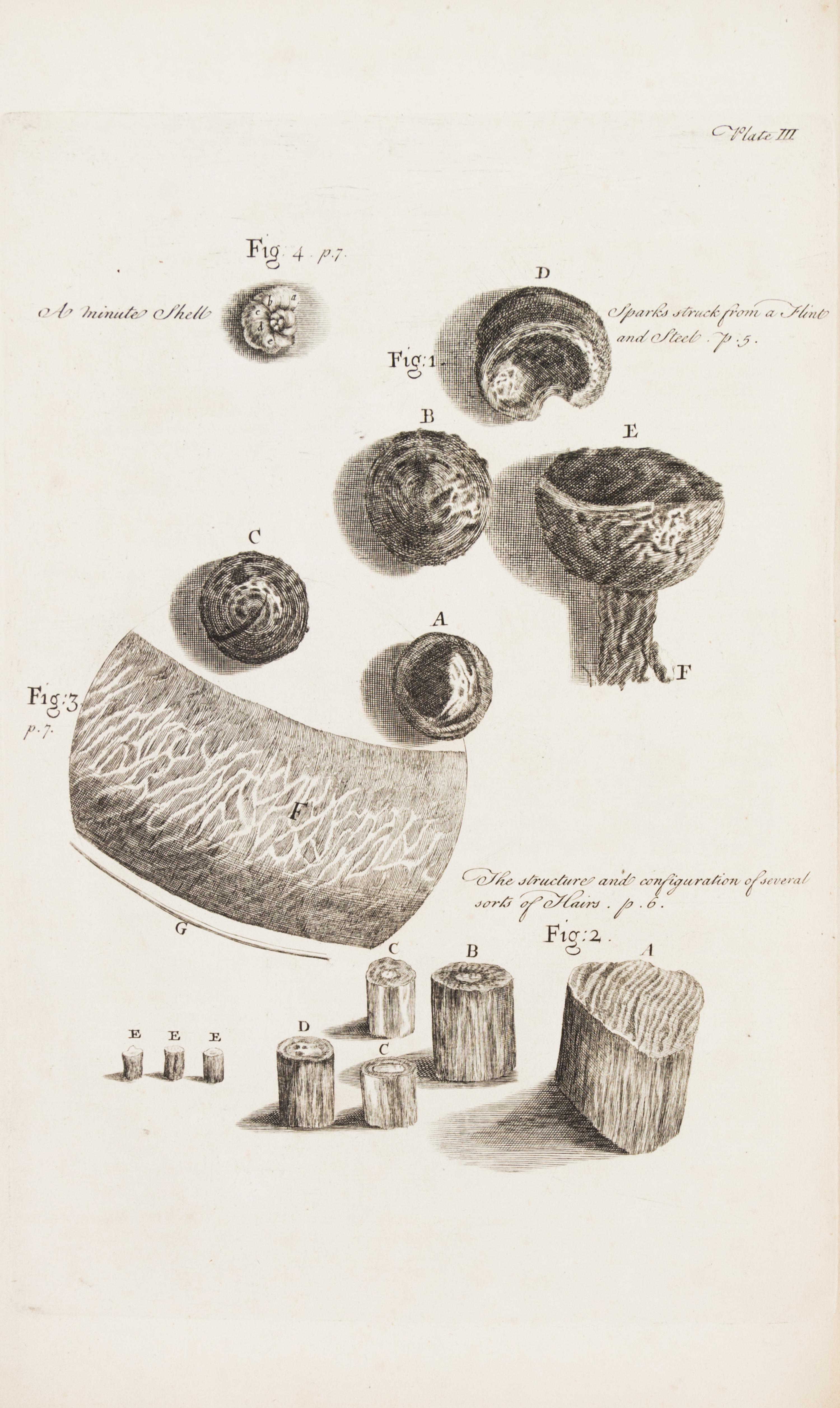 HOOKE, ROBERT. Micrographia Restaurata... London, 1745. Second edition, complete.