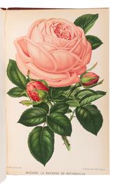 [FLOWERING PLANTS]. A group of 10 works, including: