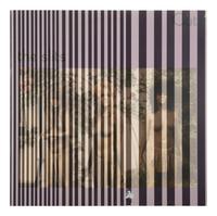 The Slits/Striped