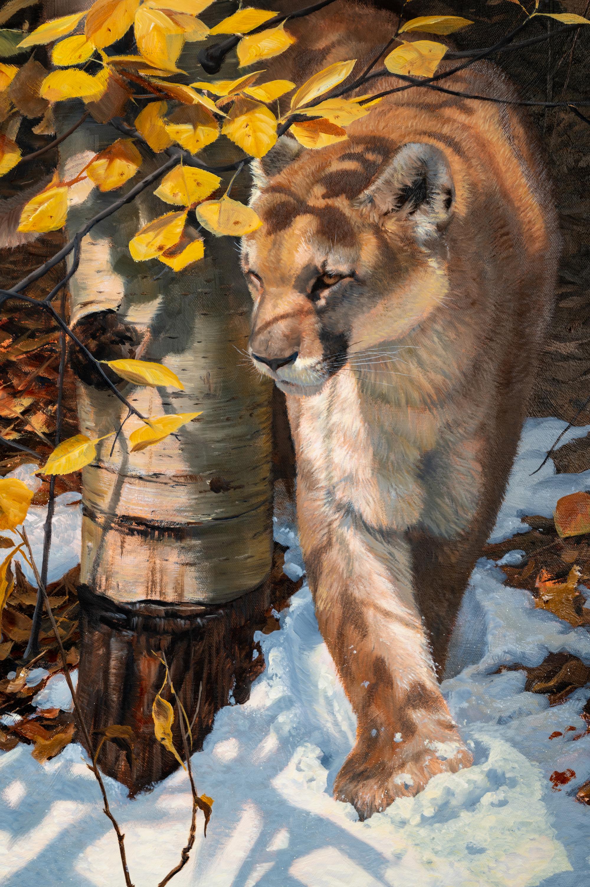 Early Snow Cougar