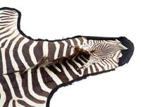 A Taxidermy Zebra Rug