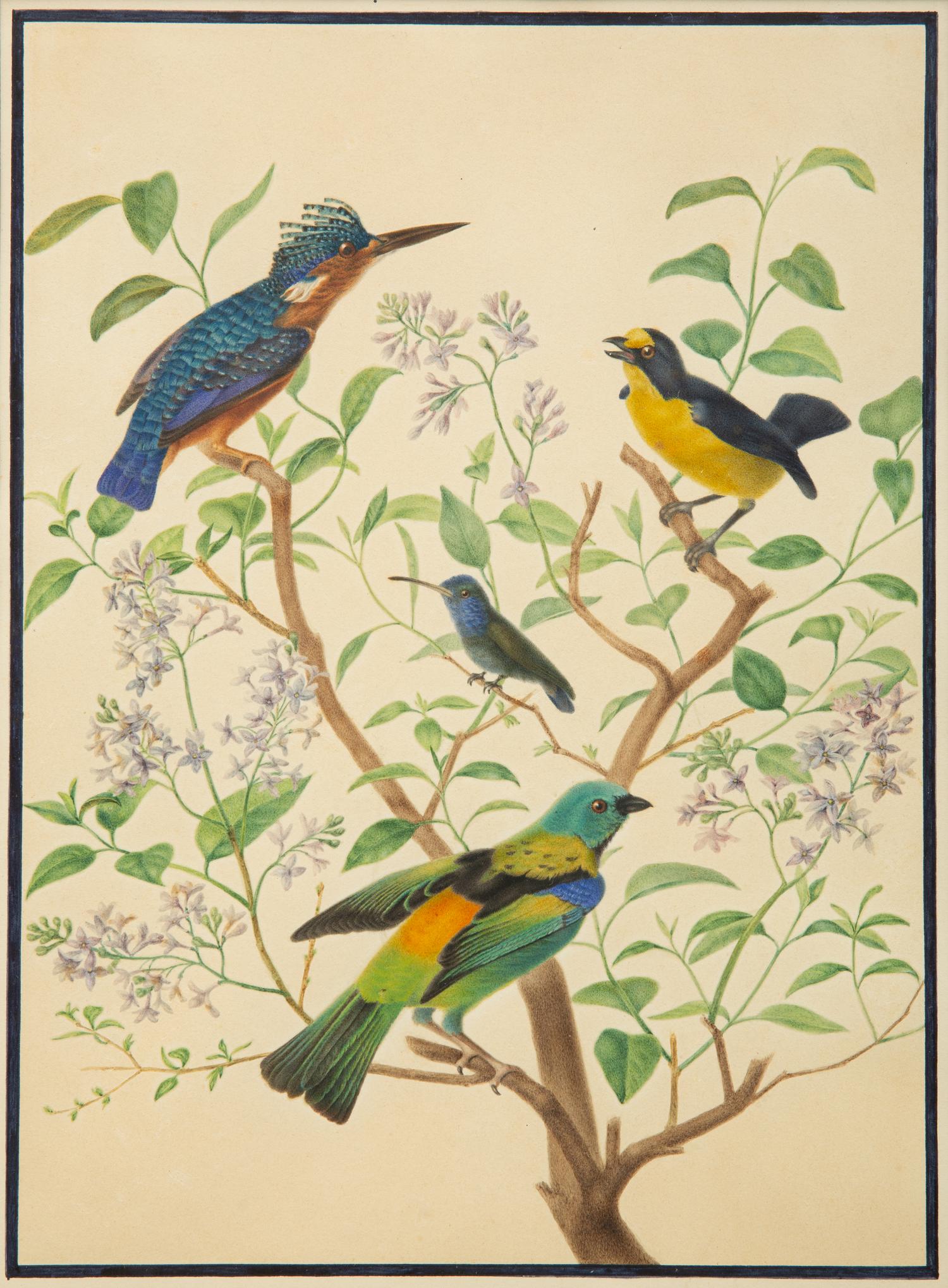 A Group of Three Framed Gouache Illustrations of Birds