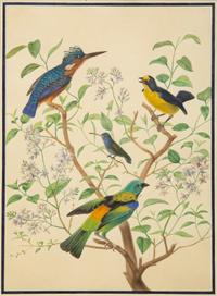 A Group of Three Framed Gouache Illustrations of Birds