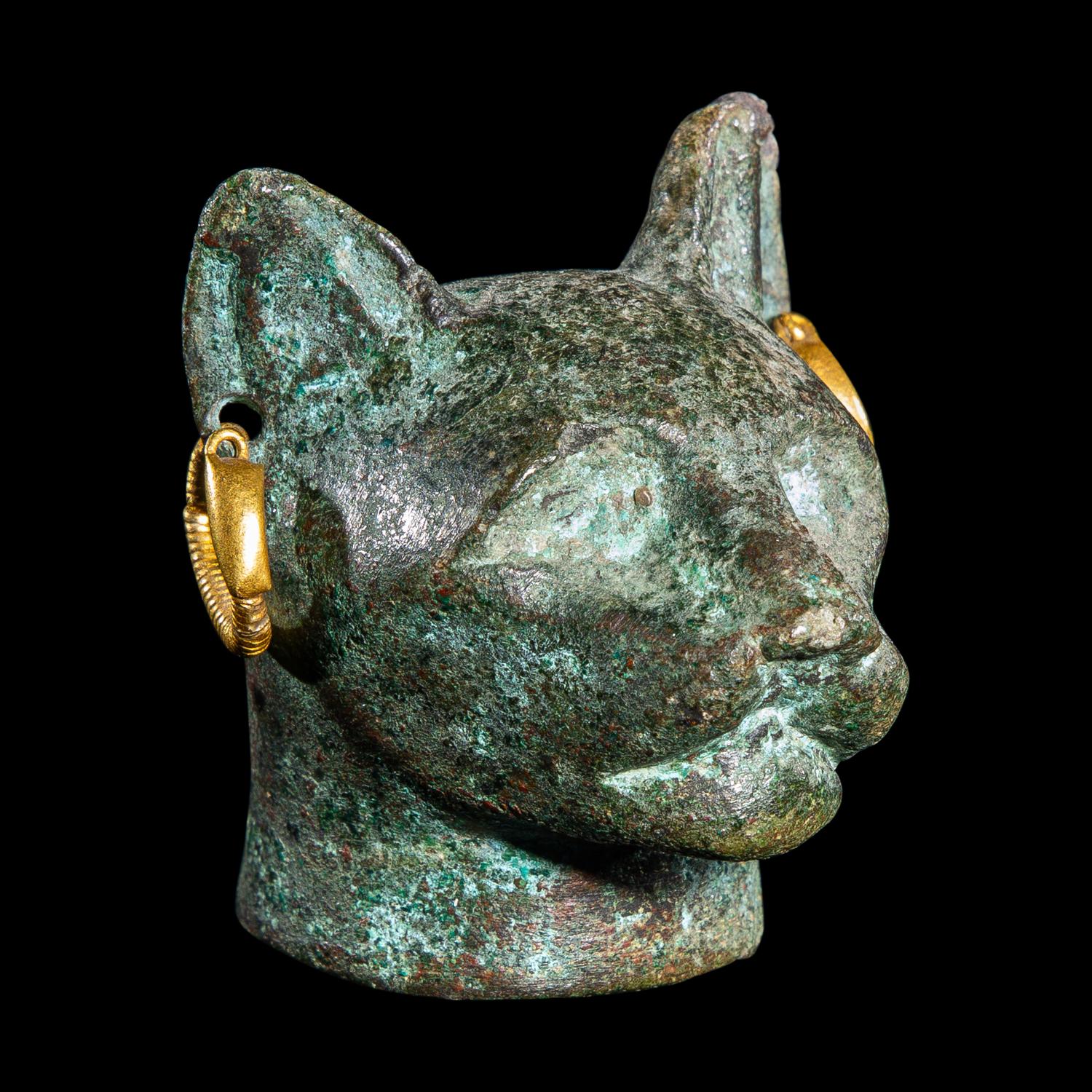 An Egyptian Bronze Head of a Cat