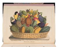 [NATURAL HISTORY]. TITFORD, William Jowett (1784-1823). Sketches towards a Hortus Botanicus Americanus; or, coloured plates (with a catalogue and descriptions of many species) of new and valuable plants of the West Indies and North and South America. Also of several others, natives of Africa and the East Indies . London: C. Stower and Newman for the author, [1811]-1812.