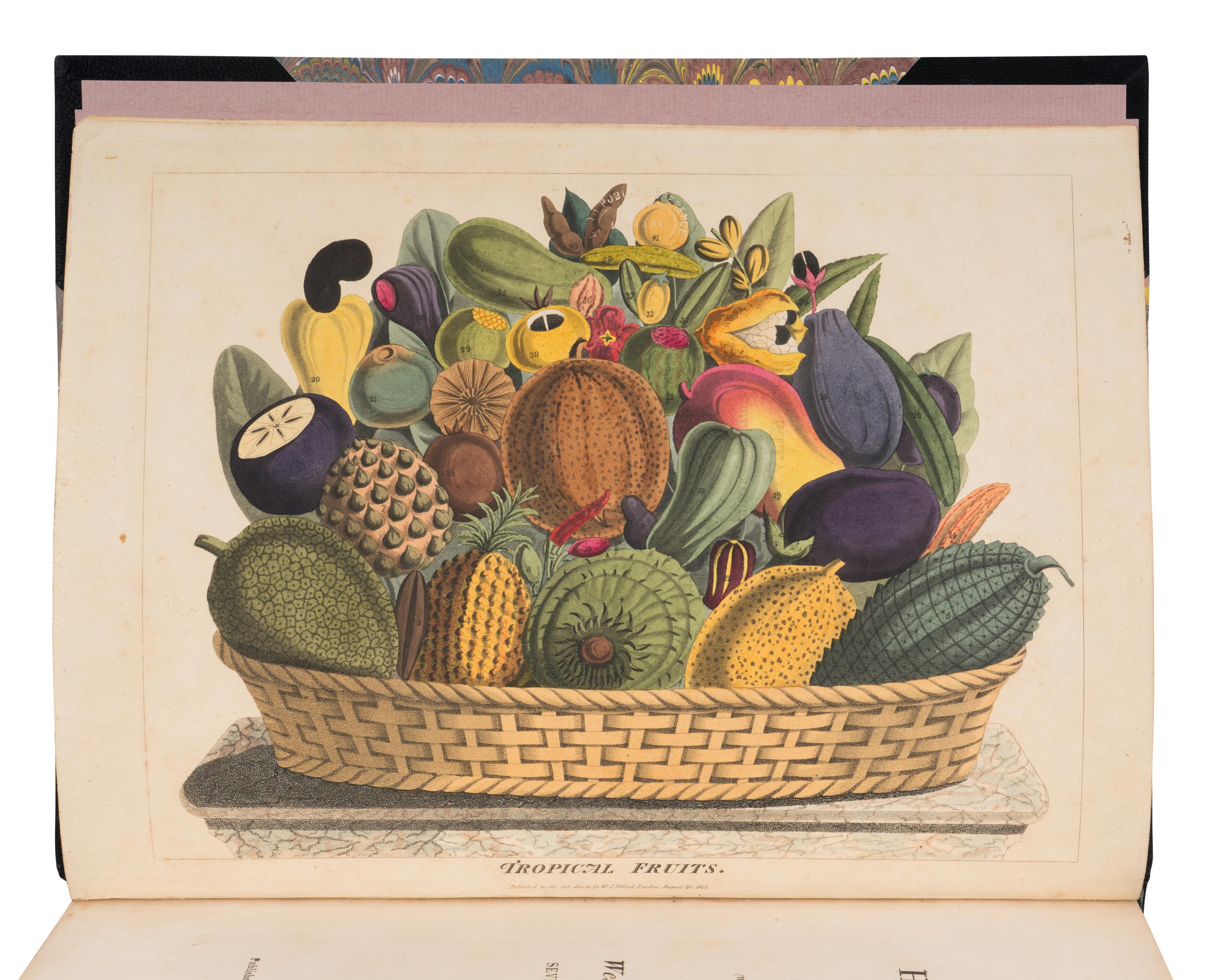 [NATURAL HISTORY]. TITFORD, William Jowett (1784-1823). Sketches towards a Hortus Botanicus Americanus; or, coloured plates (with a catalogue and descriptions of many species) of new and valuable plants of the West Indies and North and South America. Also of several others, natives of Africa and the East Indies . London: C. Stower and Newman for the author, [1811]-1812.