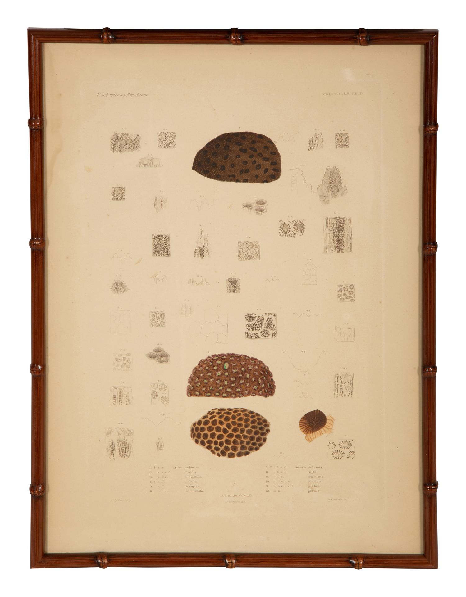 A Set of Four Framed Hand Colored Engravings