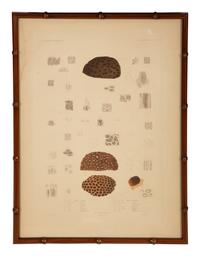 A Set of Four Framed Hand Colored Engravings