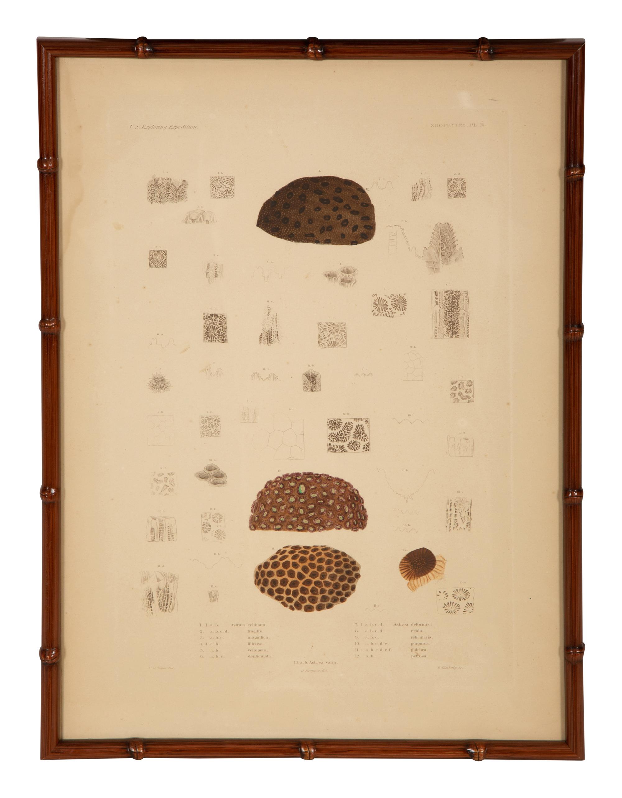 A Set of Four Framed Hand Colored Engravings