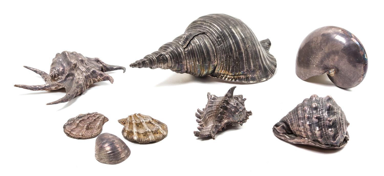 A Collection of Eight Silvered Shells Length of largest 13 1/2 inches. — 20TH CENTURY
