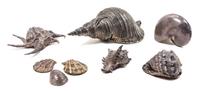 A Collection of Eight Silvered Shells Length of largest 13 1/2 inches. — 20TH CENTURY