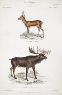 RICHARDSON, SIR JOHN. The Museum of Natural History. Glasgow, 1870. 2 vols. Color plates.