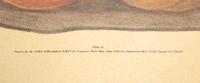 Two George Brookshaw Pomona Britanica Plates