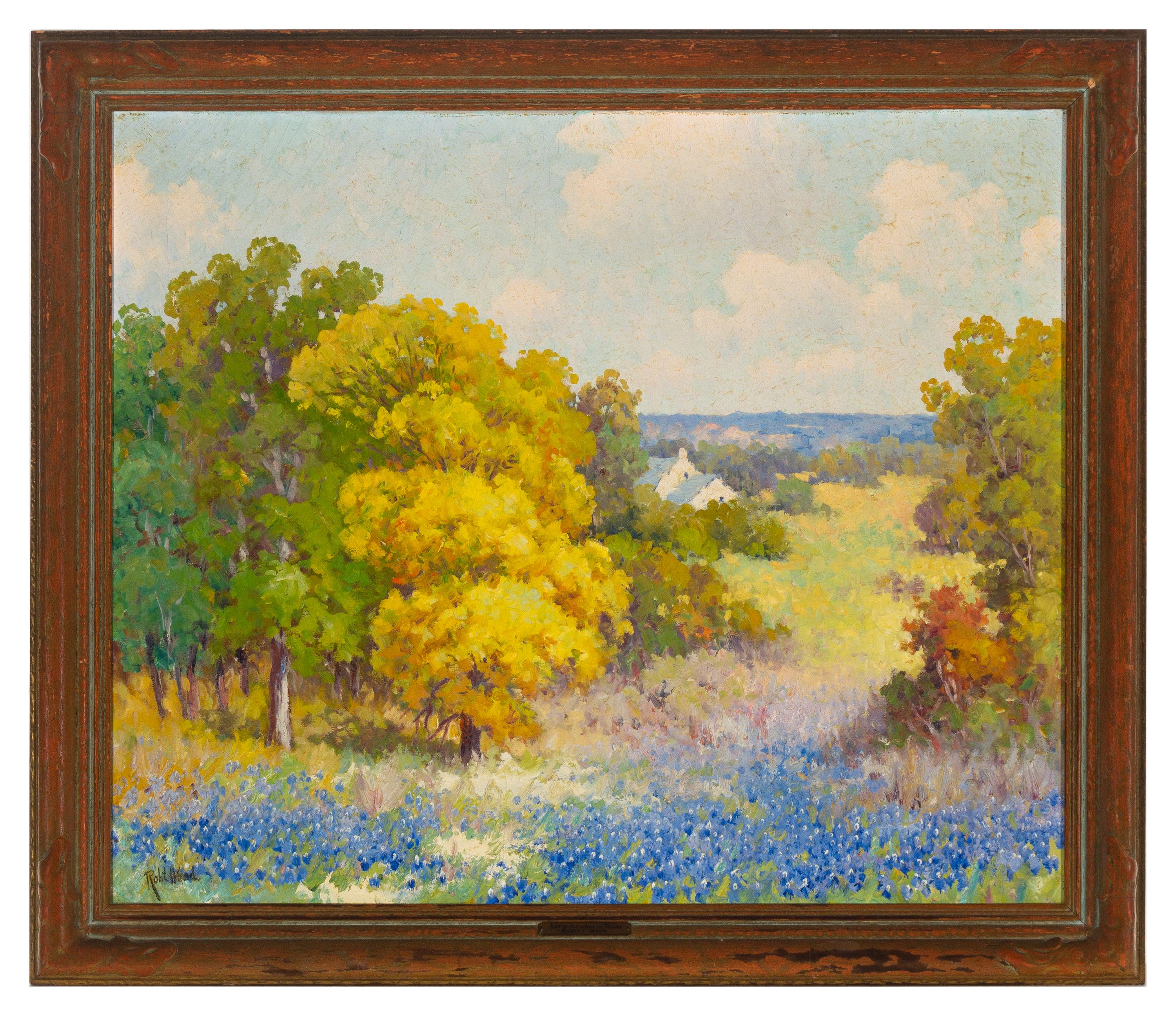 Texas Landscape