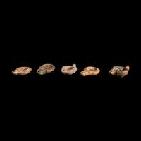 Five Roman Terracotta Erotic Oil Lamps