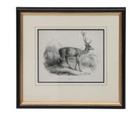 A Decorative Tin Relief of a Moose Height 14 1/2 x width 17 inches
