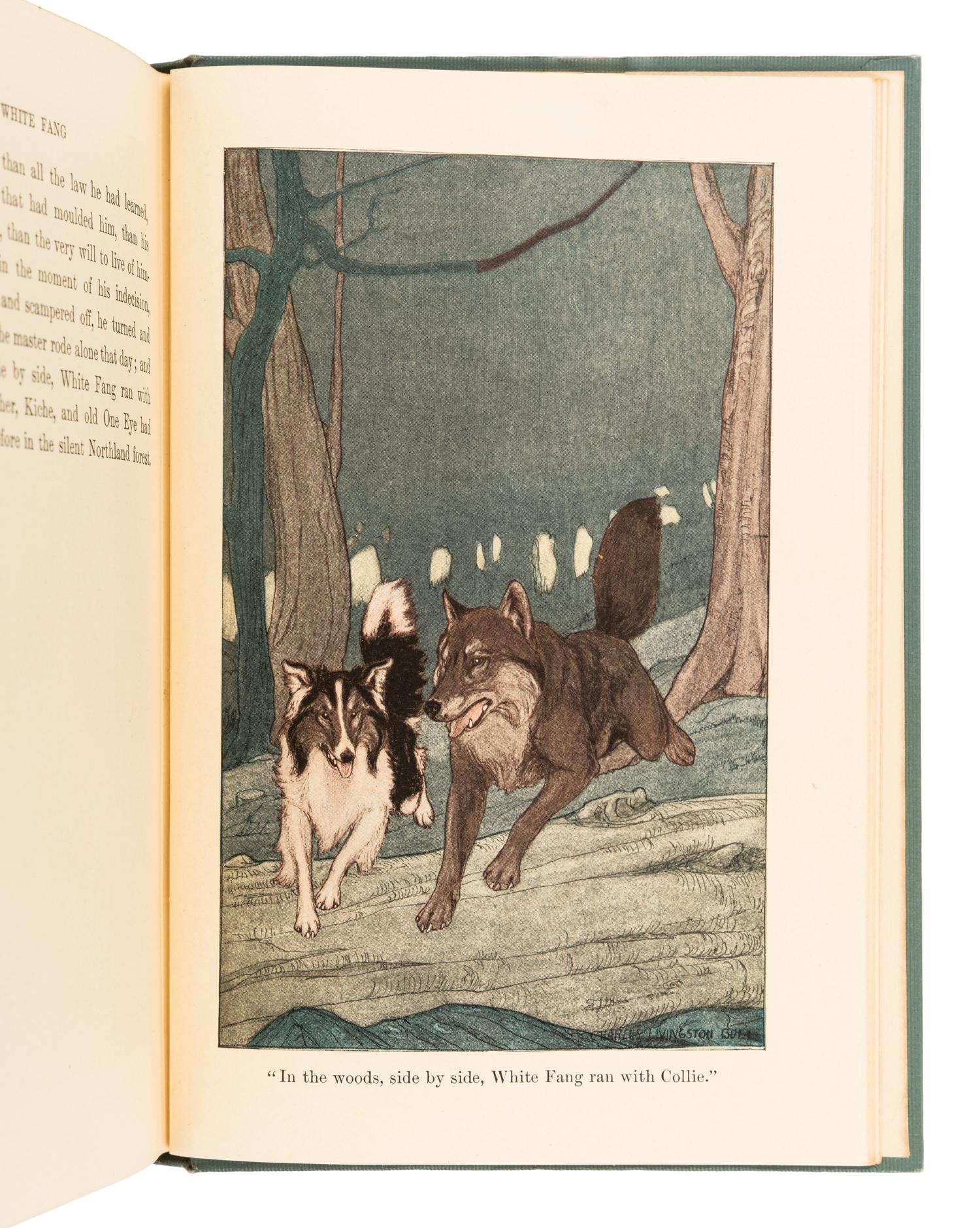 LONDON, Jack (1876-1916). White Fang . New York & London: The Macmillan Company, 1906.