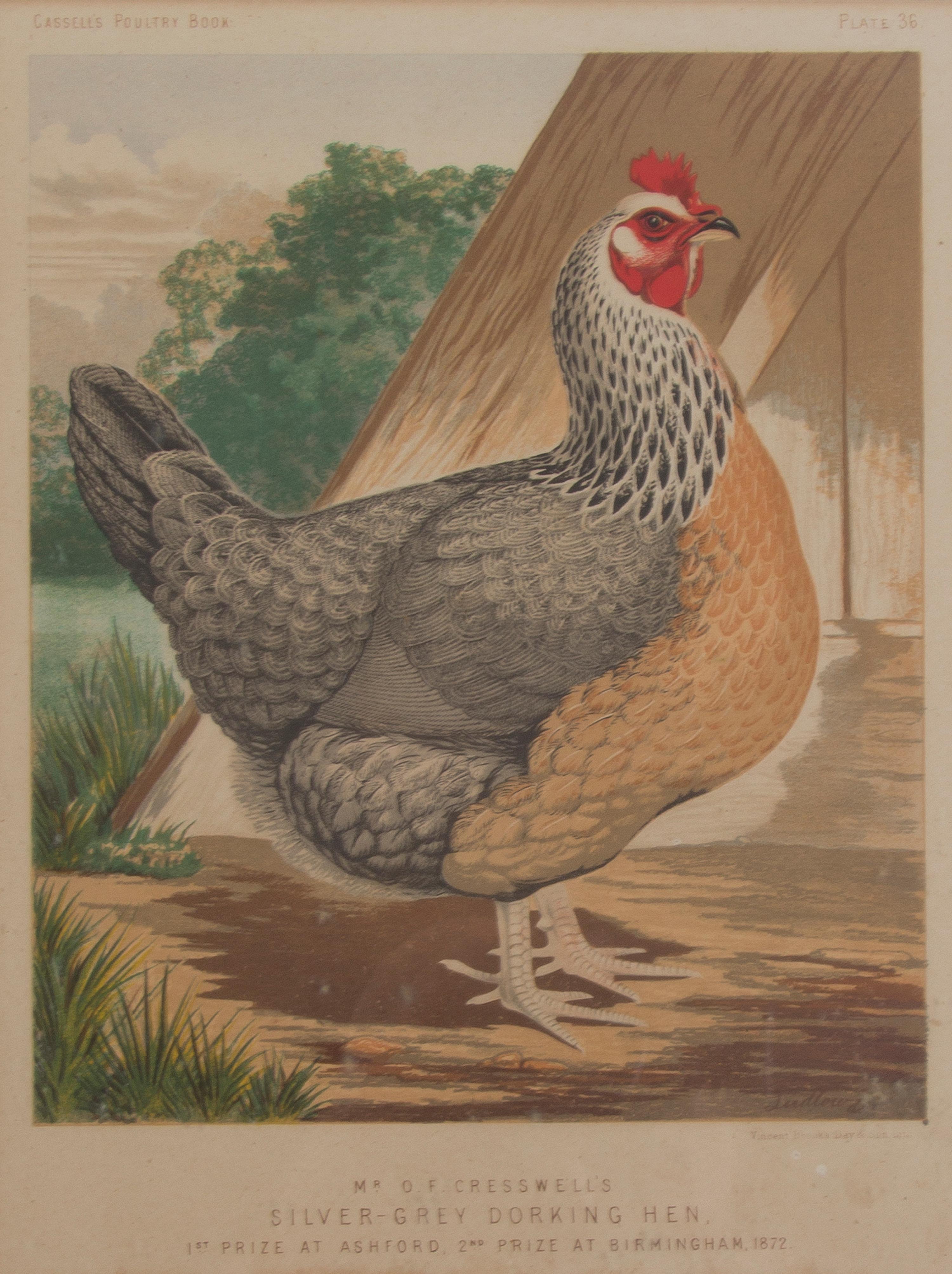 Twelve English Handcolored Engravings, Height of first 9 1/2 x width 7 1/8 inches (visible).