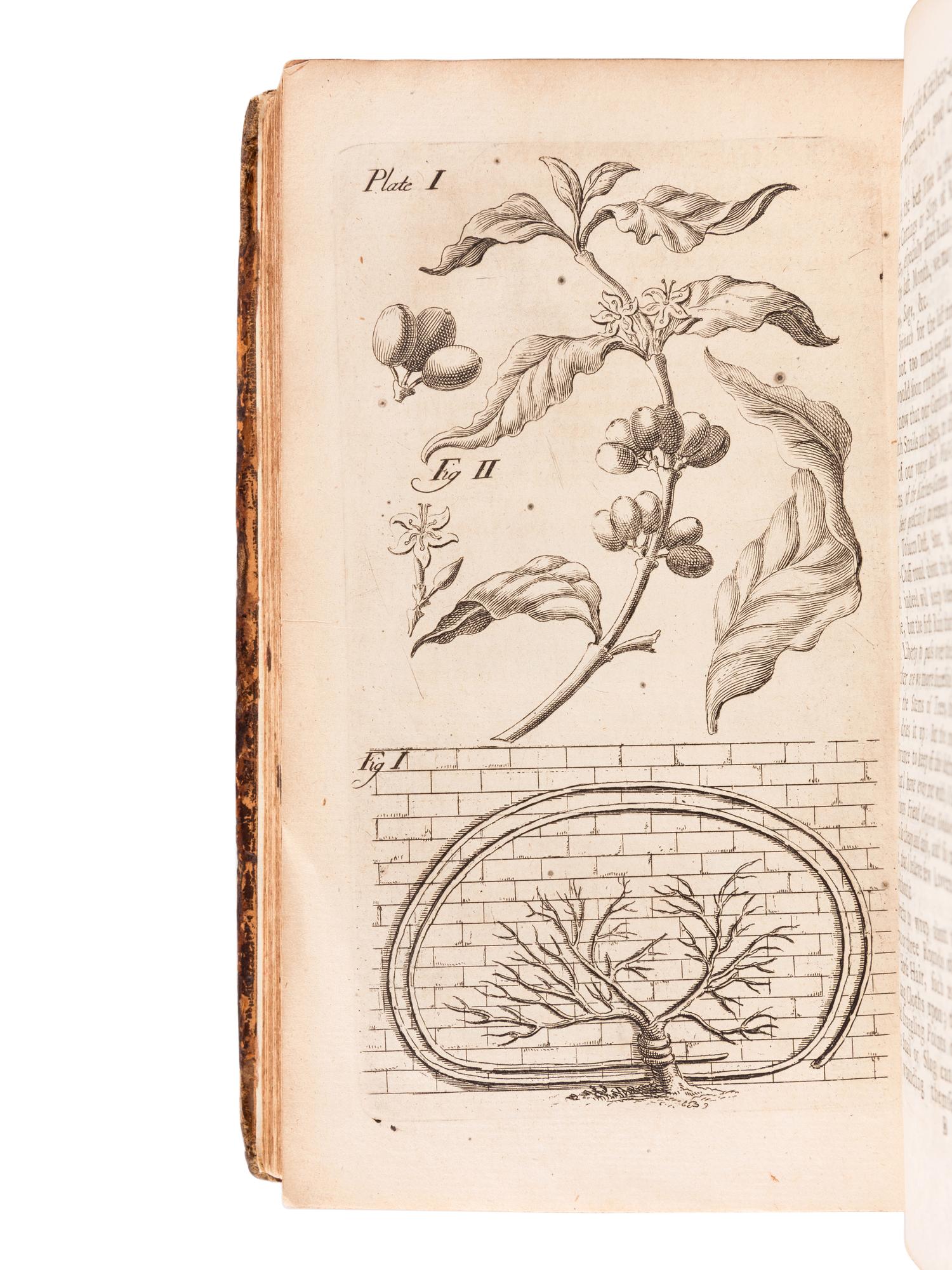 BRADLEY, Richard (d.1732). New Improvements of Planting and Gardening , Both Philosophical and Practical; Explaining the Motion of the Sapp and Generation of Plants...The Fourth Edition...To which is added... Herefordshire-Orchards . London: W. Mears, 1724.