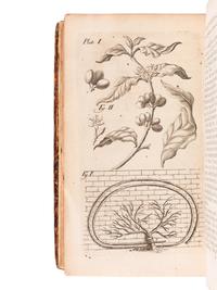 BRADLEY, Richard (d.1732). New Improvements of Planting and Gardening , Both Philosophical and Practical; Explaining the Motion of the Sapp and Generation of Plants...The Fourth Edition...To which is added... Herefordshire-Orchards . London: W. Mears, 1724.