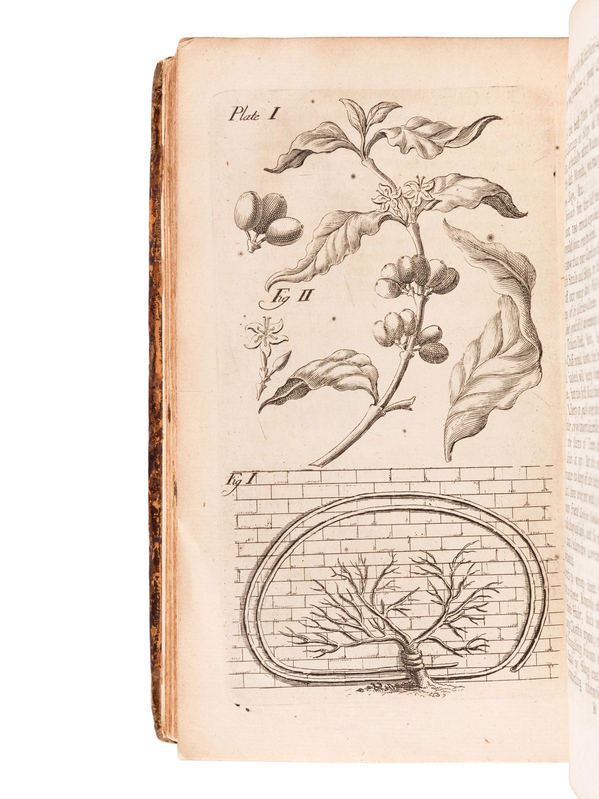 BRADLEY, Richard (d.1732). New Improvements of Planting and Gardening , Both Philosophical and Practical; Explaining the Motion of the Sapp and Generation of Plants...The Fourth Edition...To which is added... Herefordshire-Orchards . London: W. Mears, 1724.