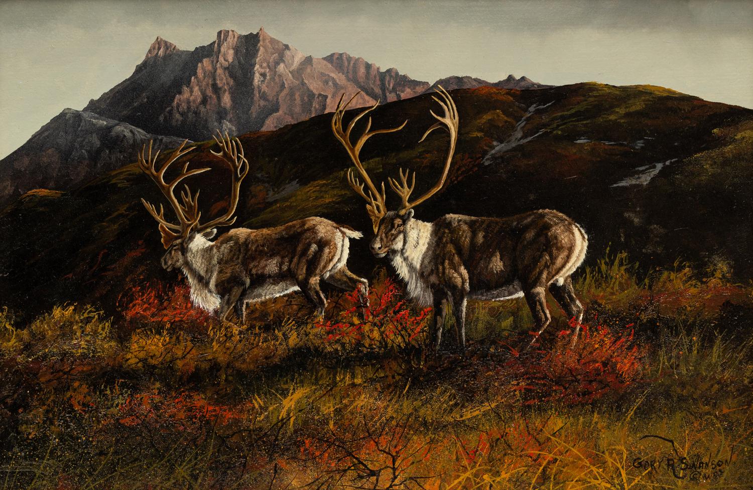 Alaska Caribou