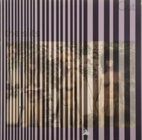 The Slits/Striped
