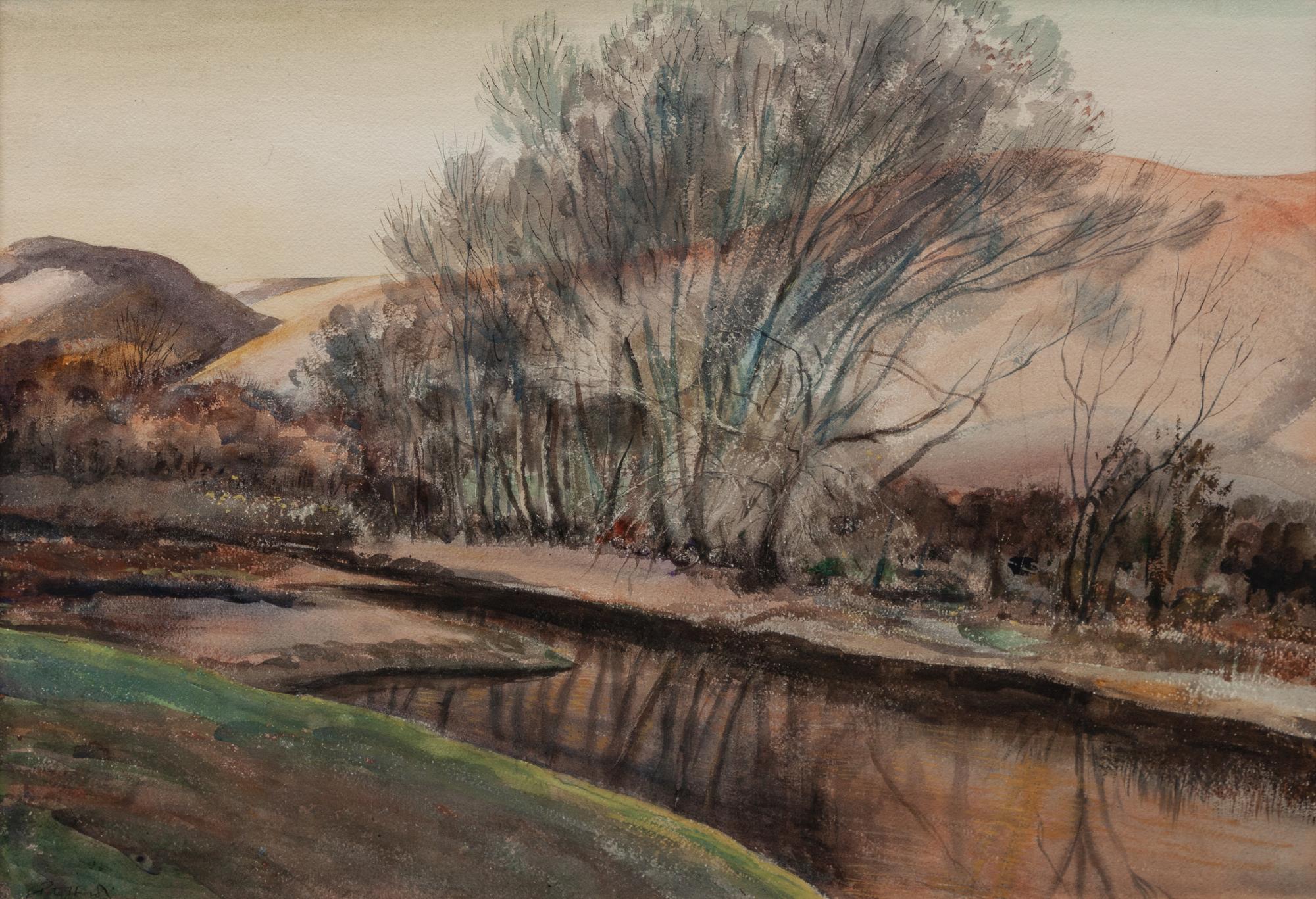 Mountain Stream