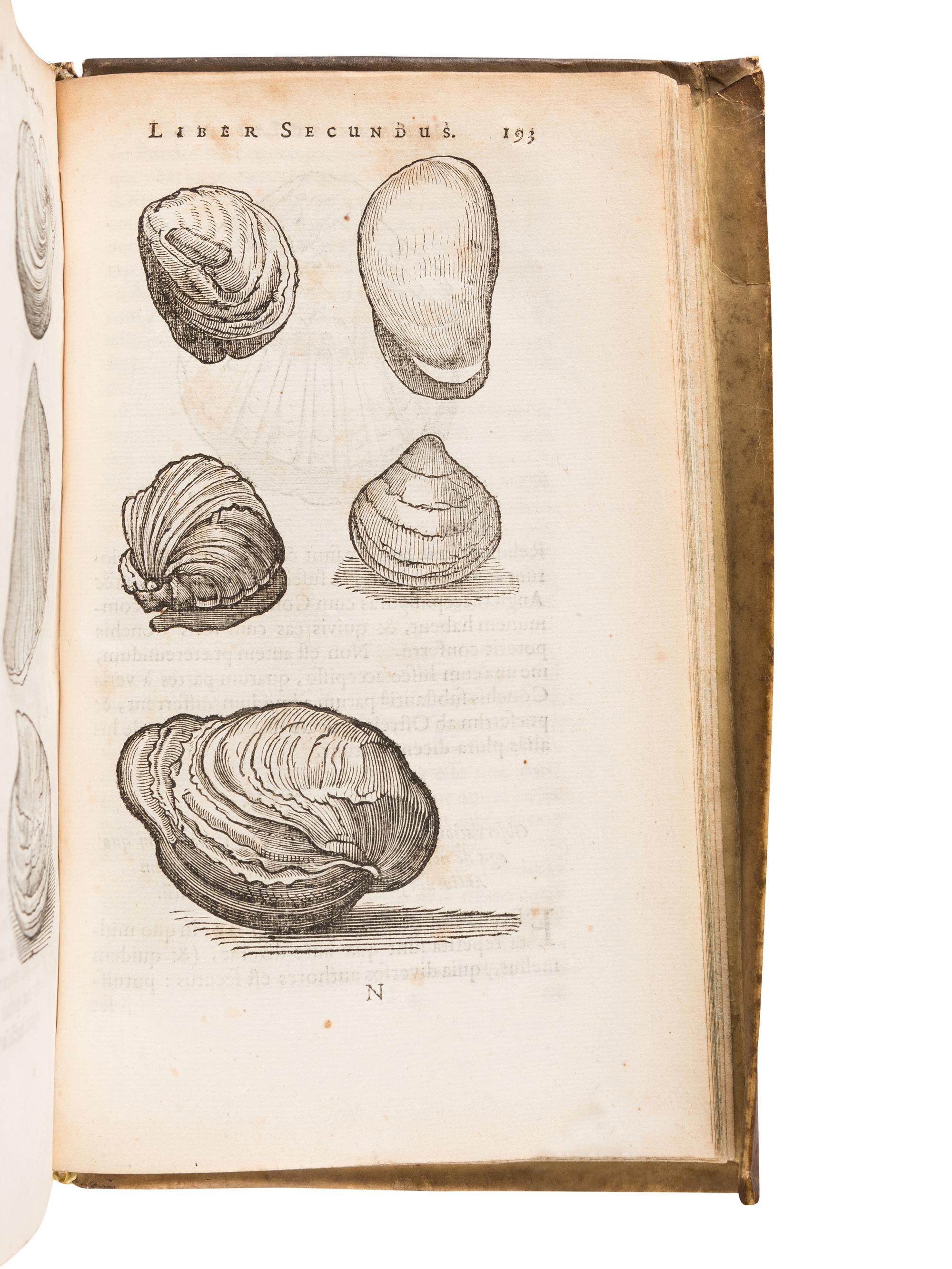BOODT, Anselmus Boetius de (1550?-1634). Gemmarum et Lapidum Historia . Leiden: Joannis Maire, 1647. [ Bound with :] LAET, Joannis de (1581-1649). De Gemmis et lapidibus libri duo. Quibus praemittitur Theophrasti liber de lapidibus Graece & Latine . Leiden: Joannis Maire, 1647.