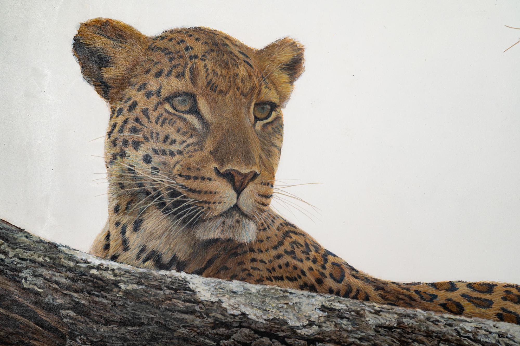 Leopard at Seronera