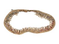 Plains Buffalo Tooth Necklace