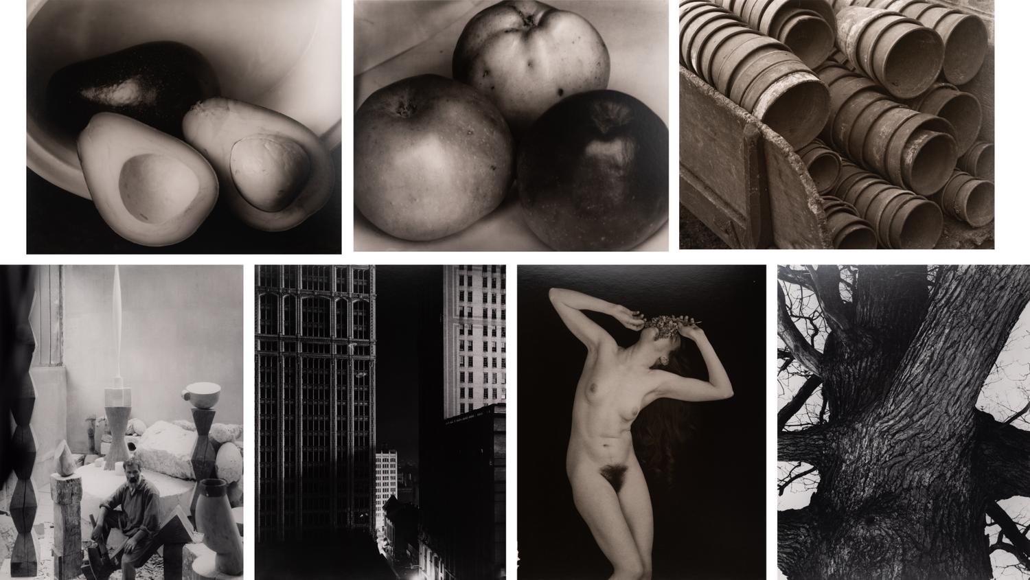 A group of fourteen photographs (from Twenty-Five Photographs printed by George Tice with labels signed by George Tice and Joanna Steichen)